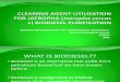Cleaning Agent Utilization for Jatropha (Jatropha curcas) Biodiesel Purification
