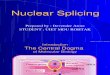 Nuclear Splicing by devender