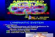 REPORT Lymphatic Blood Vessel