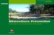 Selvicultura Preventiva en Chile