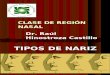 5ta Clase Cabeza - Fosa Nasal - Dr. Hinostroza