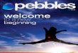 Pebbles WEB 21-24-08