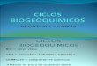 Biologia PPT - Aula 3 - Ciclos Biogeoquímicos