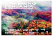 Charming Lithuania