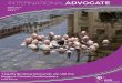 The International Advocate Vol 4 Issue 1