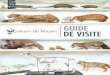 Guide de visite du Muséum d'Histoire naturelle de Rouen
