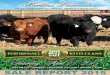Heartland Simmentals Bull Sale Report 2015