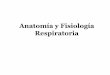 Anatomía y Fisiologia Respiratoria