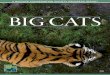 WCS Progress Report: Big Cats 2015