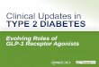 Clinical Updates in  Type 2 Diabetes