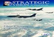 Strategic Vision, Issue 21