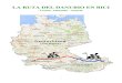 Diario de la ruta del Danubio en bici, tramo: Alemania-Austria