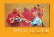 Rice is Life | Aung Kyaw Htet | Chung Antiques & Art Catalogue