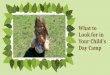 What to look for in your childs day camp