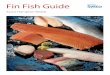 Fin Fish Guide 2015