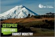Cotopaxi Volcano - Safety Guide Tourist Industry