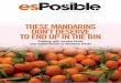 revista esPosible, agosto 2015, nº 53. These mandarins  don't deserve to end up in the bin