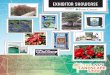 Exhibitor Showcase at The Landscape Show | September 24 - 26, 2015