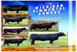 2015 Michigan Simmental and Angus State Sale