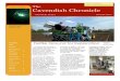 Cavendish Chronicles