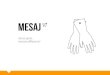 Mesaj, the project book