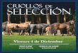 CRIOLLOS DE SELECCION 2015