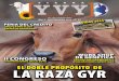 REVISTA AGROPECUARIA YVY EDICION N° 34