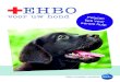 EHBO voor uw hond