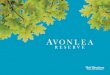 Avonlea Reserve Lifestyle Brochure