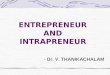 Entrepreneur and Intrapreneur