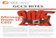 GCCS BITES Issue 03 2014/ December 2014