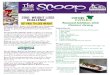 The Scoop ~ January 2016 Edition