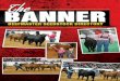 The Banner - Beefmaster Seedstock Directory
