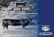 Kentucky All Breed Pen Heifers 2016 sale