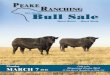 Peake Ranching 2nd Annual Bull Sale 2016