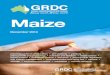 GRDC GrowNotes Northern Maize December 2014