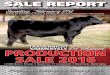 Trauernicht Bulls Sale Report 2016