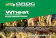 GRDC GrowNotes Northern Wheat