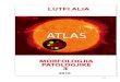 Lutfi Alia | Atlas Morfologjia Patologjike 3