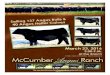 McCumber Angus Ranch 2016 Production Sale