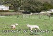 Llanferres News & Views March 2016