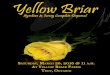 Yellow Briar Ayrshire & Jersey Complete Dispersal