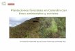 PDS 2014 - YANACOCHA - Plantaciones forestales en Celendín con fines ambientales y sociales