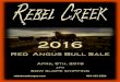 Rebel Creek Red Angus Bull Sale 2016