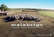 Malabrigo Newsletter | Spring 2016
