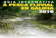 Guia informativa pesca fluvial galicia 2016