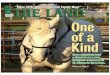 THE LAND ~ April 1, 2016 ~ Northern Edition