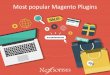 Essential Magento plugins list and development services
