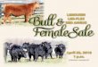 2016 Englewood Farms Bull & Female Sale