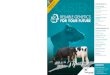 EVOLUTION International - Catalogo Holstein TPI - 2016 PT